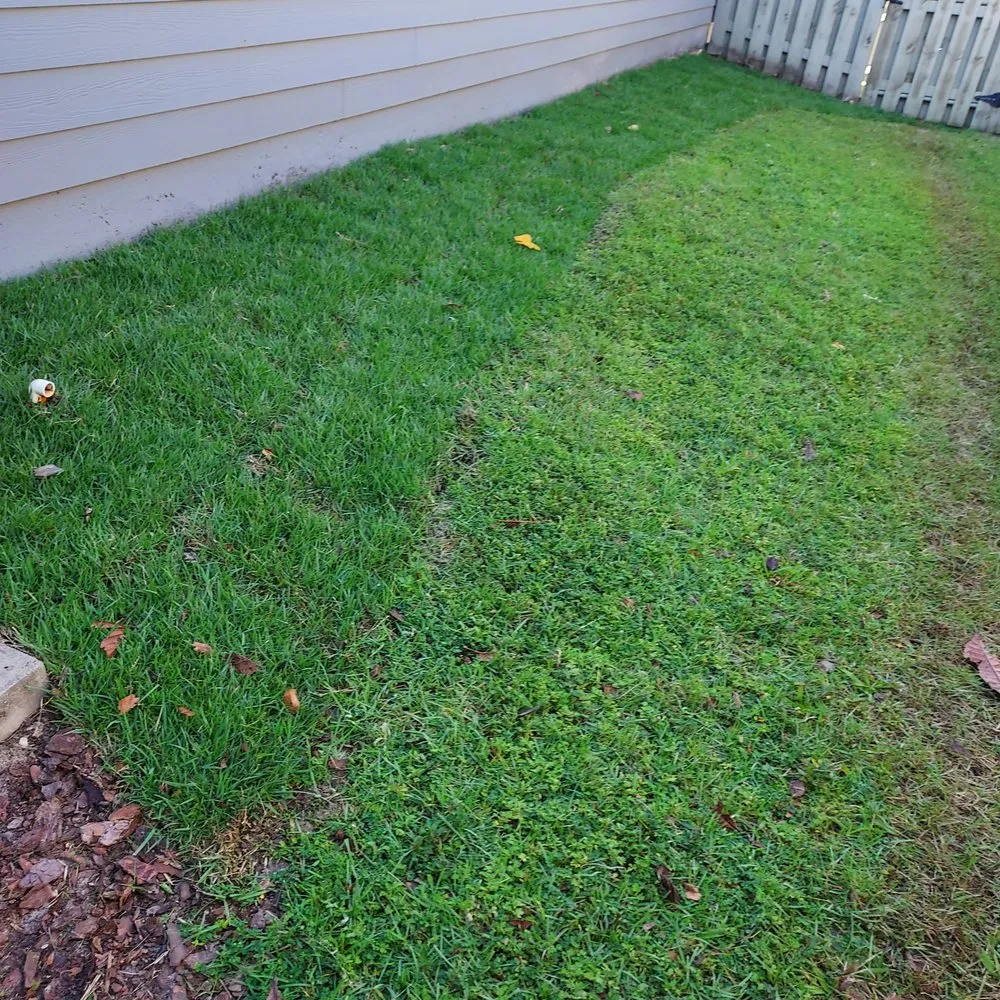 Expert lawn care service in Williston, FL by Uncle Dave's Lawn Services