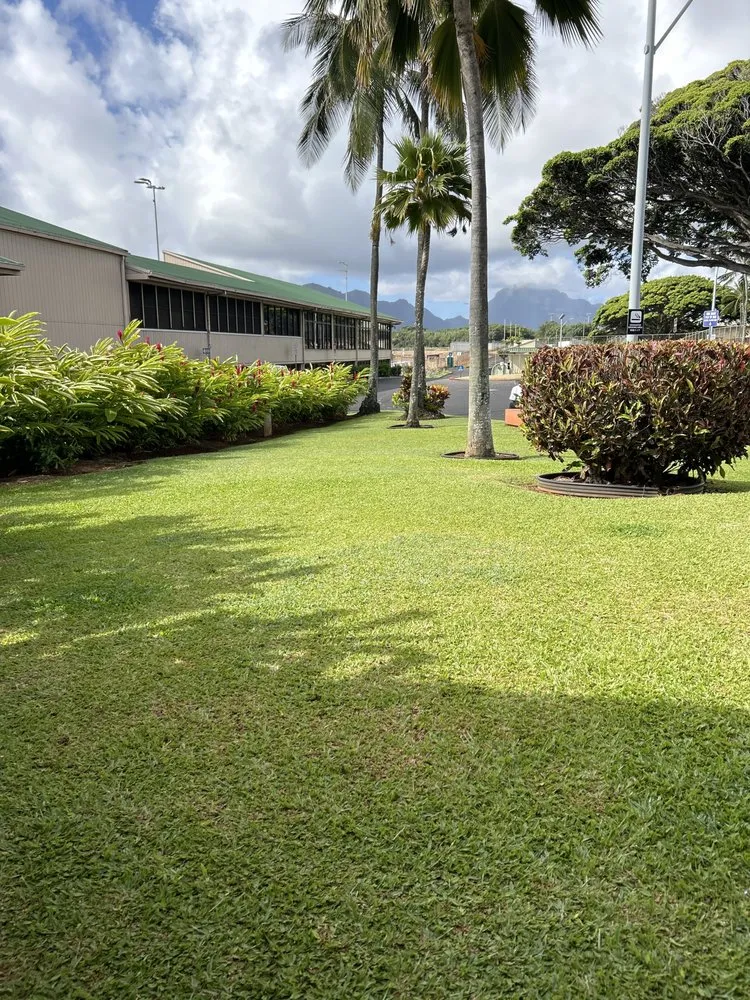 Reliable yard cleanup service experts serving Lihue, HI - Uncle Dennis