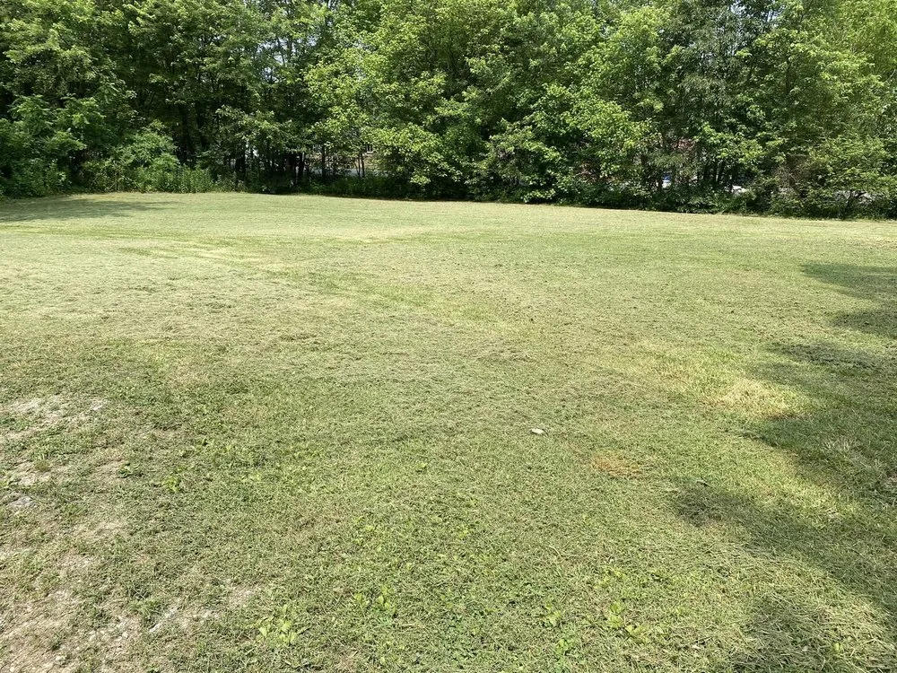 Reliable yard cleanup service in Dickson, TN - Uncle Rob's Lawncare