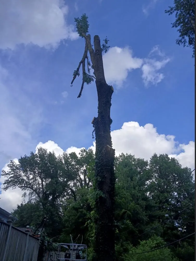 Trusted lawn care service in Evansville, IN by Uncle Ts