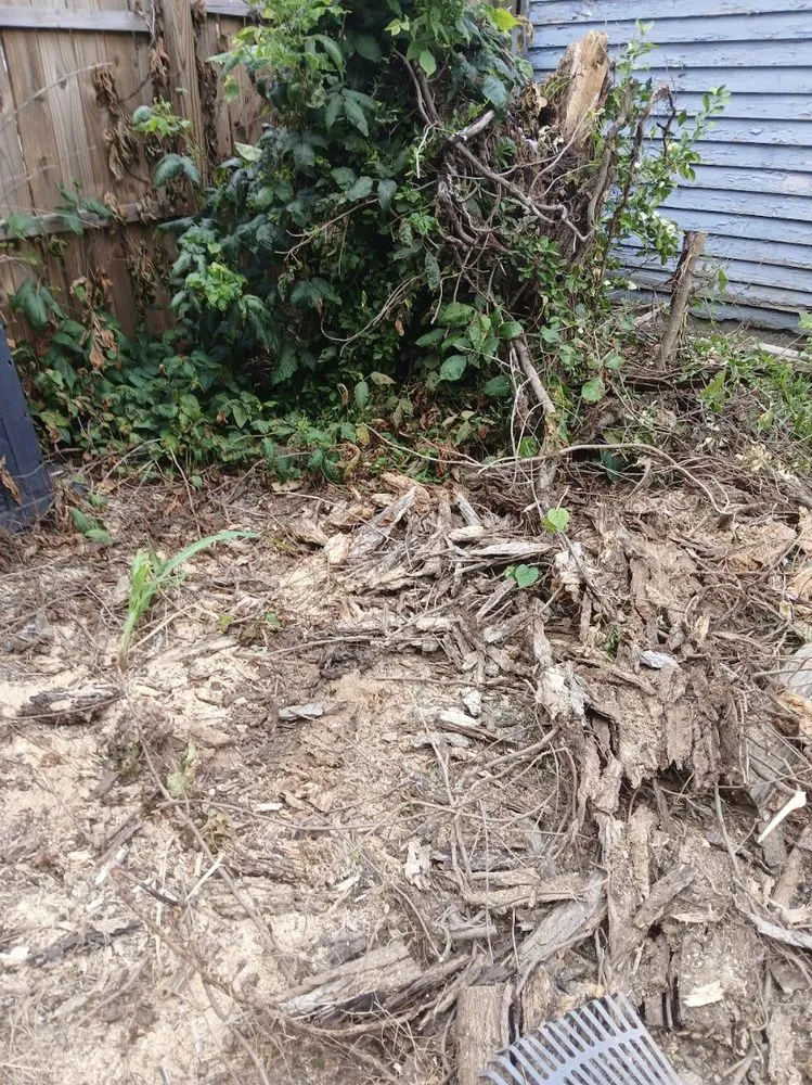 Affordable yard maintenance for residential properties across Evansville, IN - Uncle Ts