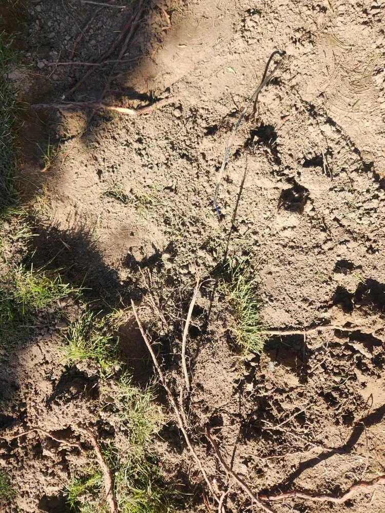 Trusted lawn care service with custom design across Blackfoot, ID - Uncle's Home Services