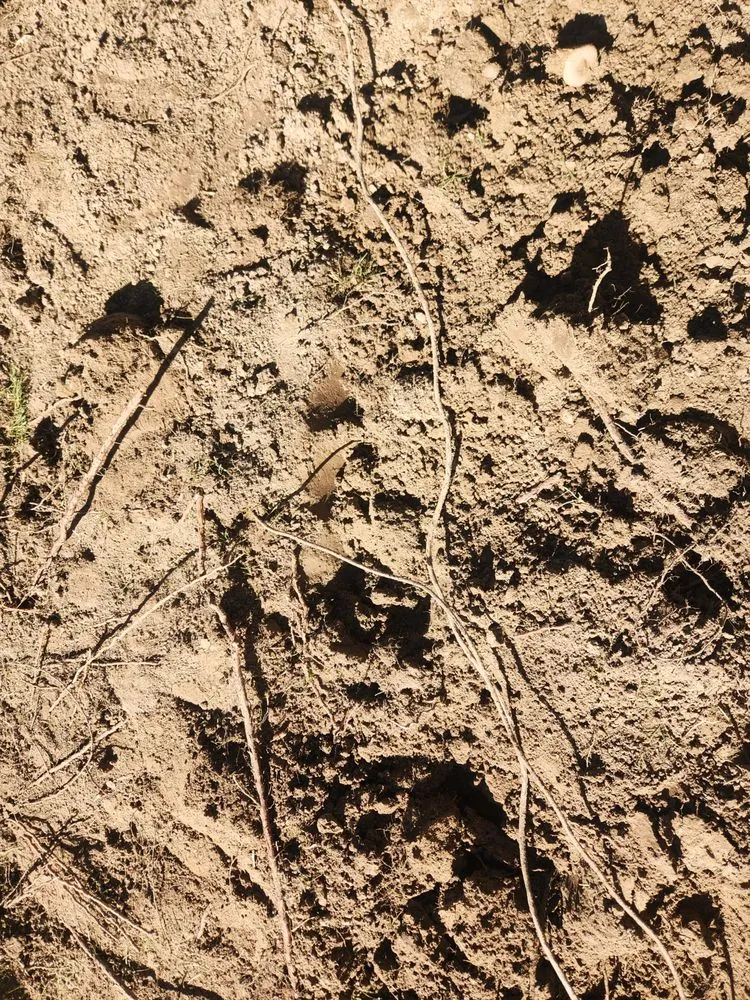 Reliable residential landscaping for outdoor upgrades in Blackfoot, ID by Uncle's Home Services