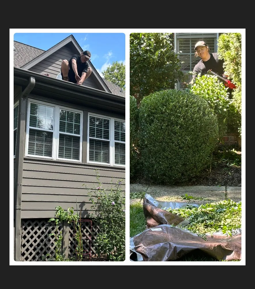 Top-rated landscaping services in Chapel Hill, NC by Unclutter Your Gutter