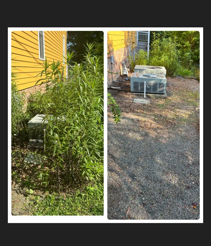 Affordable residential landscaping in Chapel Hill, NC - Unclutter Your Gutter