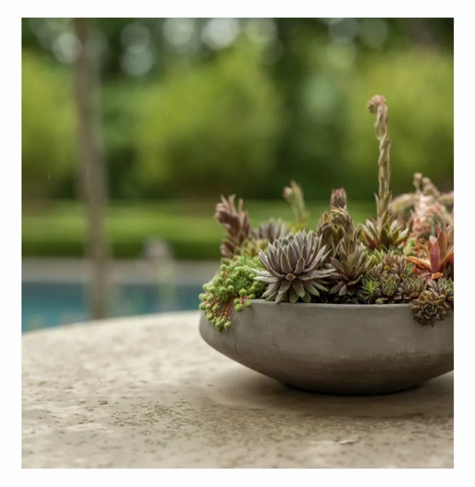 Trusted yard cleanup service experts serving Jacksonville, FL - uncontāined