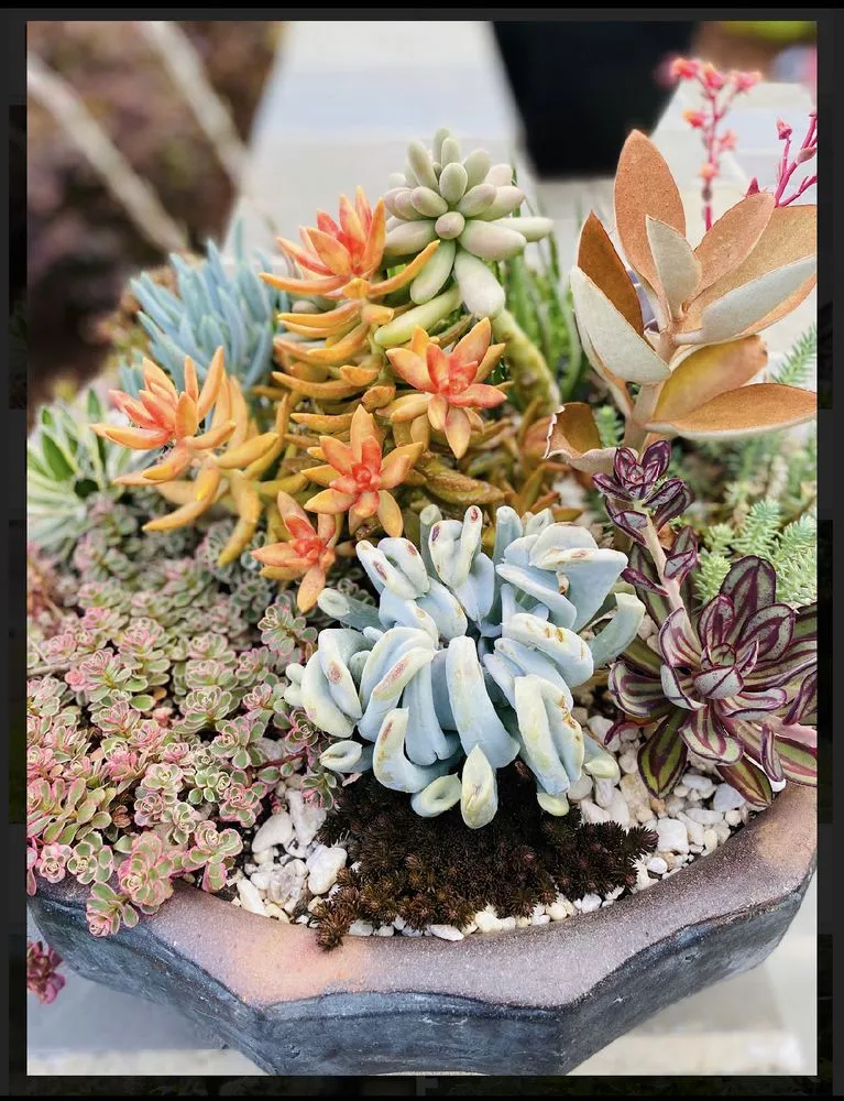 Reliable landscaping services experts serving Jacksonville, FL - uncontāined