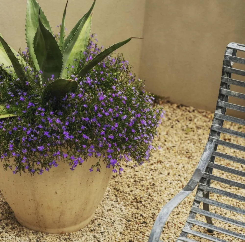 Custom yard maintenance in Jacksonville, FL - uncontāined