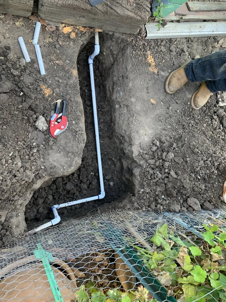 Custom lawn care service in Santa Ana, CA by Undefeated Landscaping & Tree Service