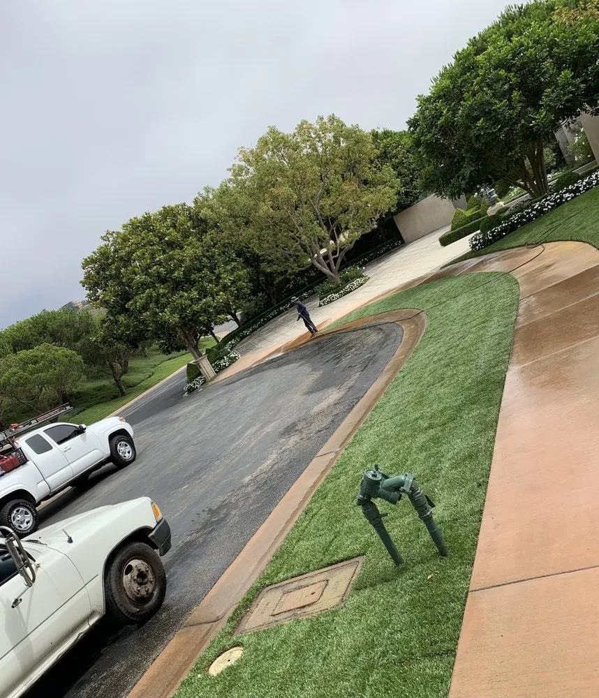 Affordable yard cleanup service near you across Santa Ana, CA - Undefeated Landscaping & Tree Service