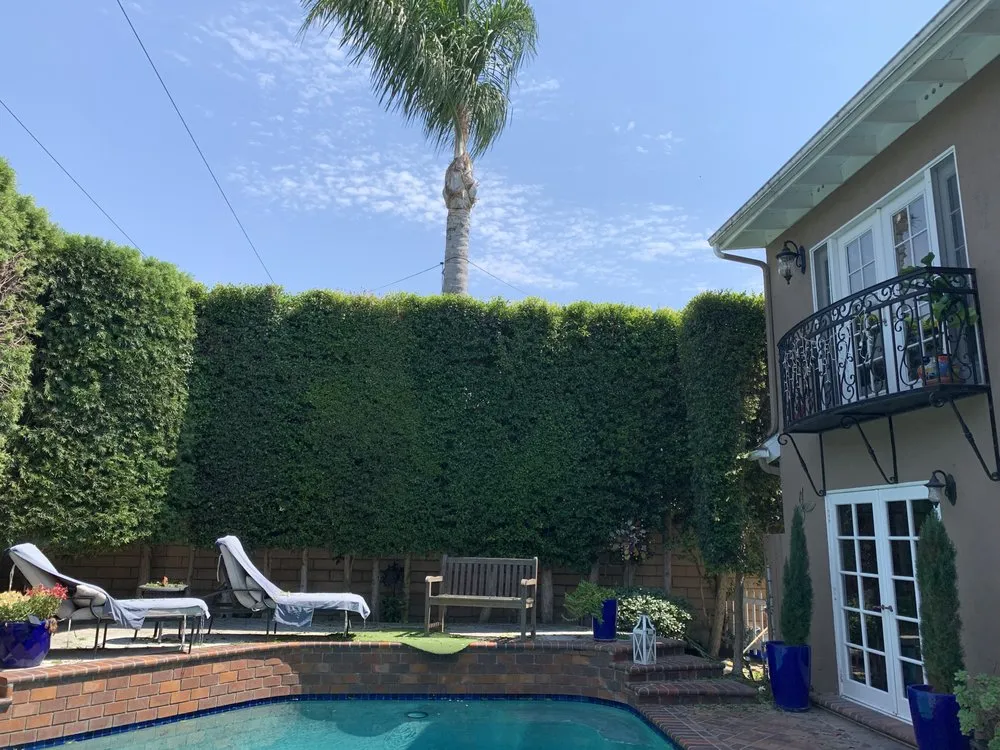 Trusted landscape design for outdoor upgrades across Santa Ana, CA - Undefeated Landscaping & Tree Service