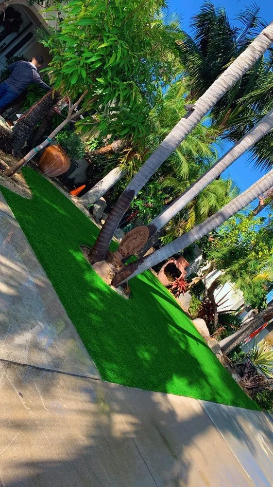 Local yard maintenance for year-round maintenance across Santa Ana, CA - Undefeated Landscaping & Tree Service