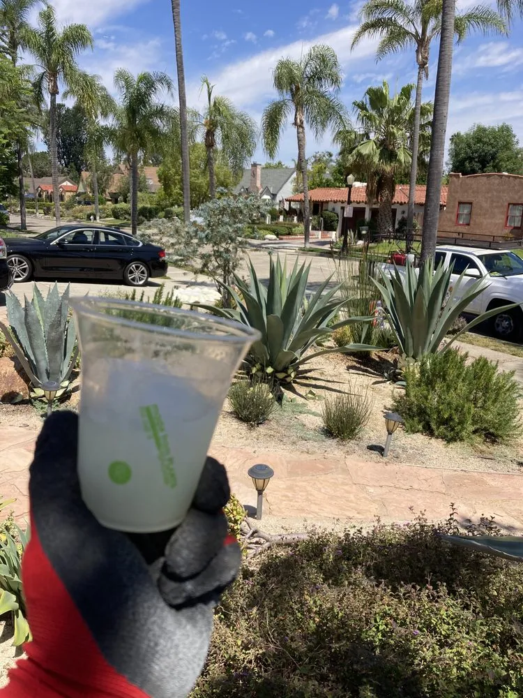 Trusted outdoor landscaping in Santa Ana, CA - Undefeated Landscaping & Tree Service