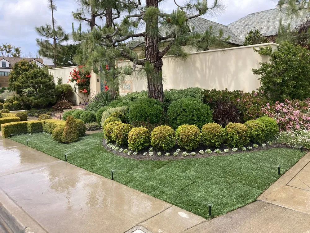 Top-rated yard cleanup service near you across Santa Ana, CA - Undefeated Landscaping & Tree Service