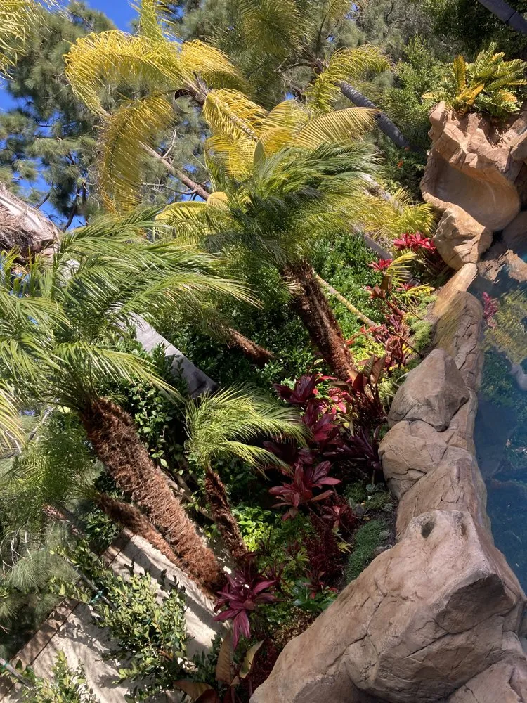 Top-rated landscape installation for year-round maintenance across Santa Ana, CA - Undefeated Landscaping & Tree Service