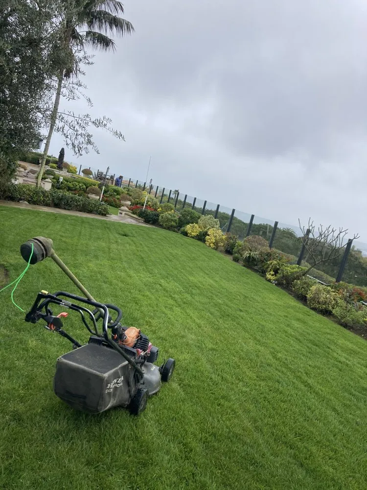 Expert landscaping services experts serving Santa Ana, CA - Undefeated Landscaping & Tree Service