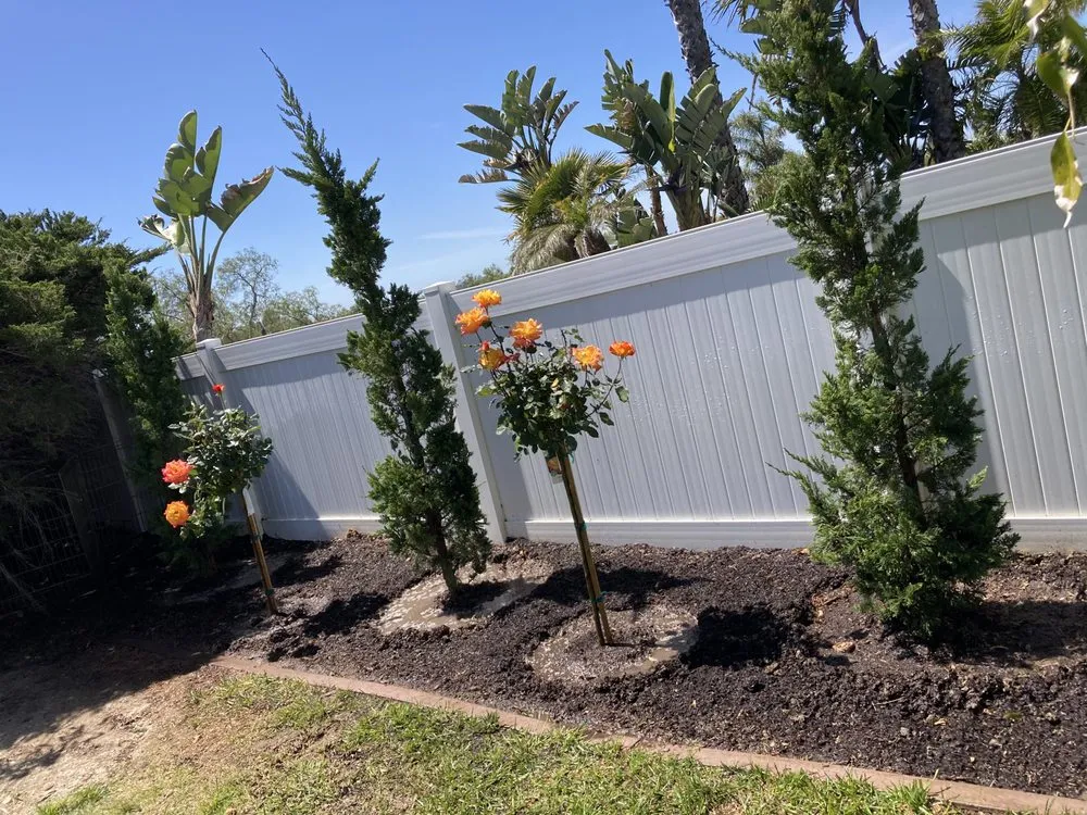 Professional lawn mowing service for beautiful yards in Santa Ana, CA by Undefeated Landscaping & Tree Service