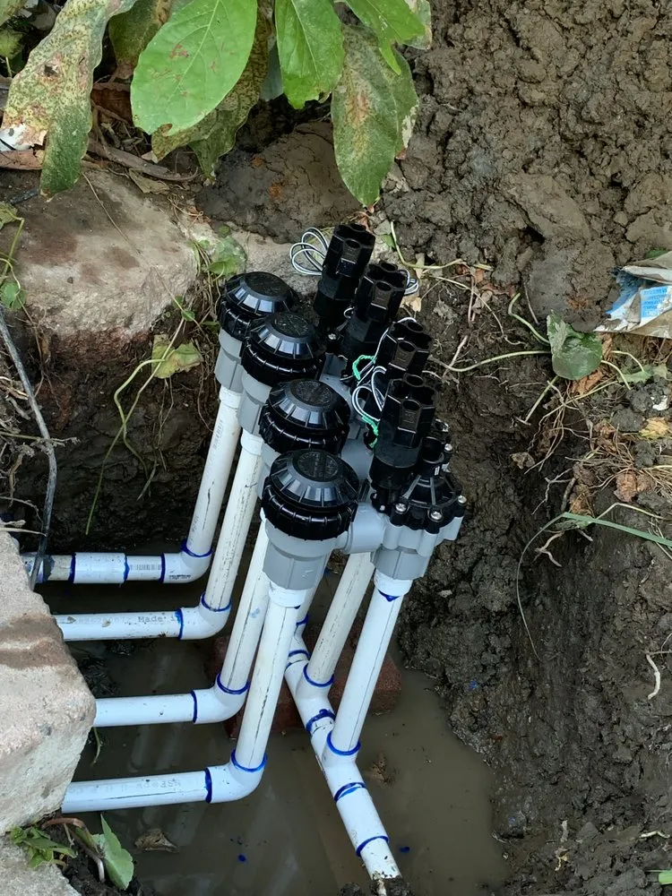 Affordable outdoor landscaping in Santa Ana, CA by Undefeated Landscaping & Tree Service