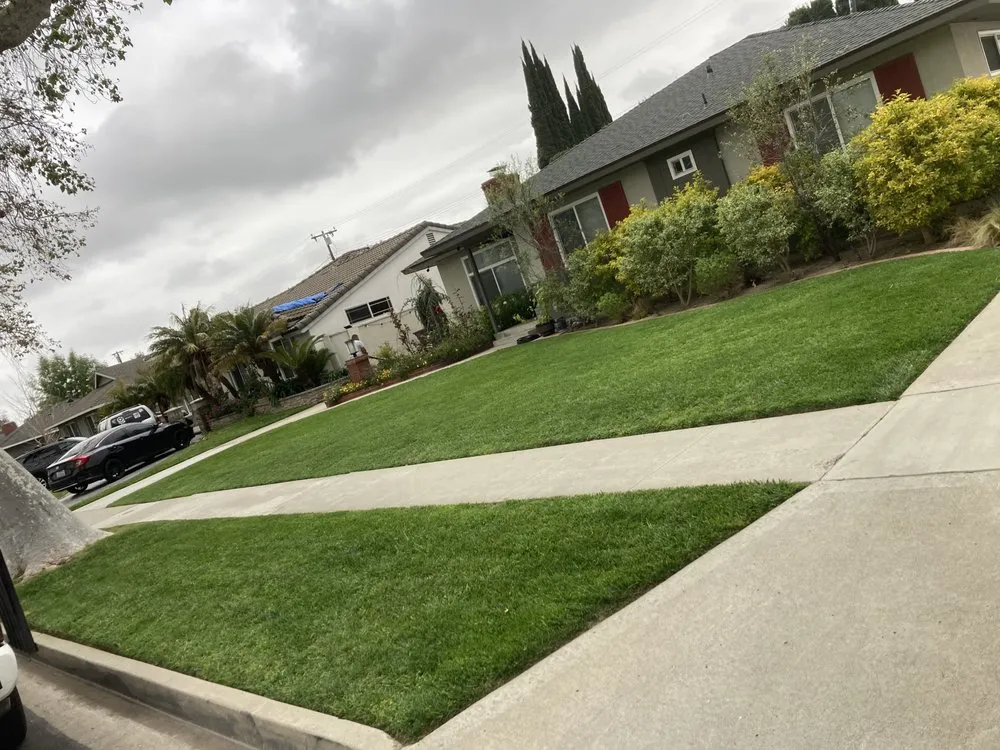 Expert lawn care service experts serving Santa Ana, CA - Undefeated Landscaping & Tree Service