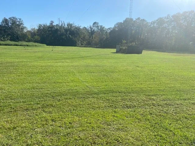 Top-rated yard cleanup service for outdoor upgrades across Daytona Beach, FL - Undeniable Cuts Lawn & Landscaping