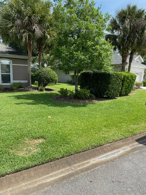 Custom yard cleanup service in Daytona Beach, FL - Undeniable Cuts Lawn & Landscaping