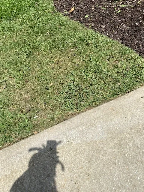 Top-rated lawn care service for year-round maintenance across Daytona Beach, FL - Undeniable Cuts Lawn & Landscaping