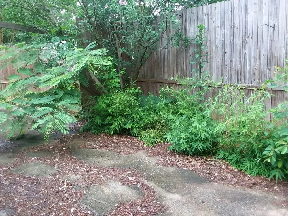 Reliable landscaping services in Rockmart, GA - Under Cuts Lawn