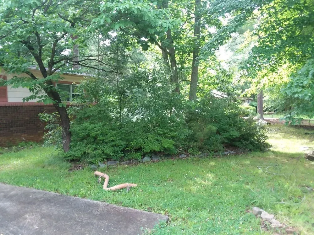 Top-rated yard maintenance experts serving Rockmart, GA - Under Cuts Lawn