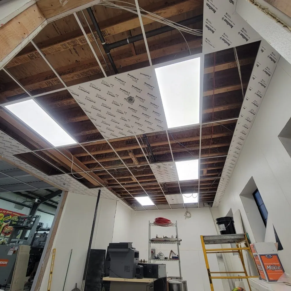 Trusted landscaping services for residential properties in Everett, WA by Under Pressure Exterior Washing