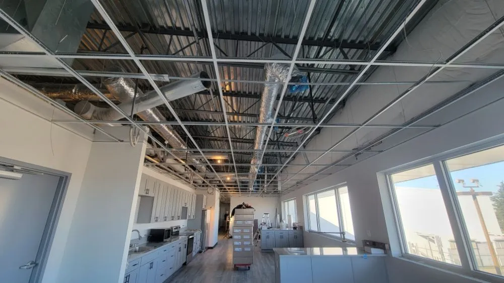 Affordable landscape installation in Everett, WA by Under Pressure Exterior Washing