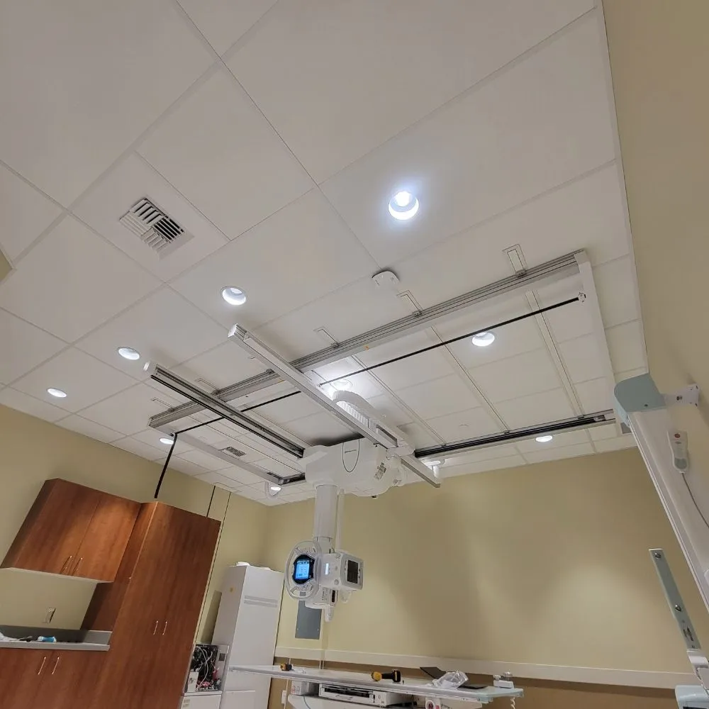 Reliable yard cleanup service experts serving Everett, WA - Under Pressure Exterior Washing