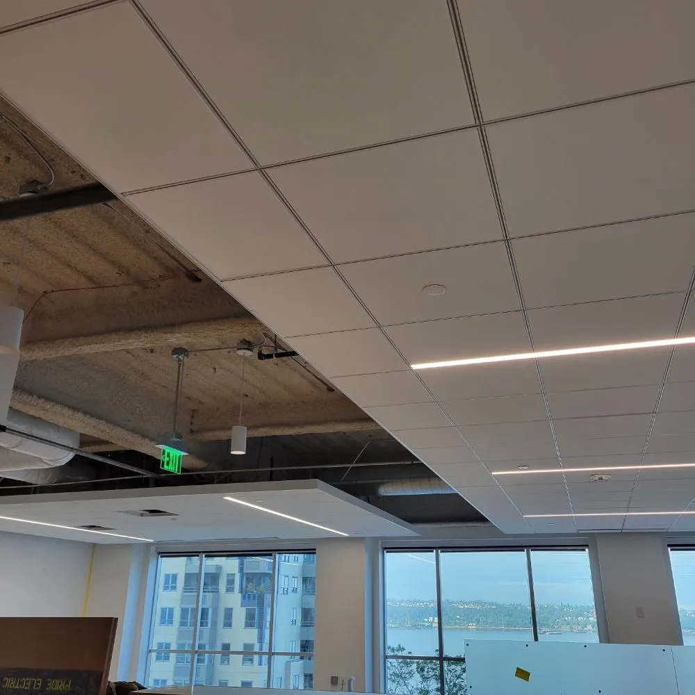 Professional yard cleanup service in Everett, WA - Under Pressure Exterior Washing