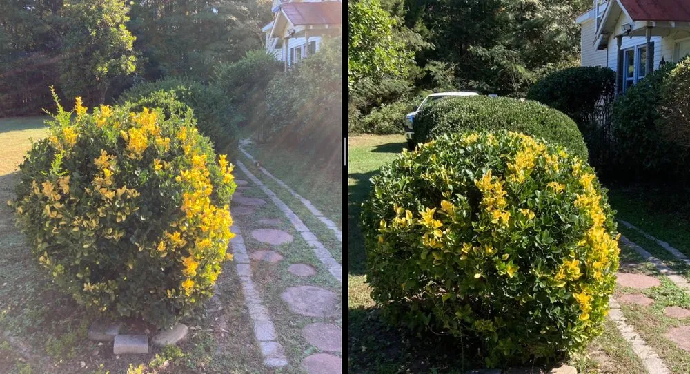 Local lawn mowing service with custom design across Farmville, VA - Under Pressure