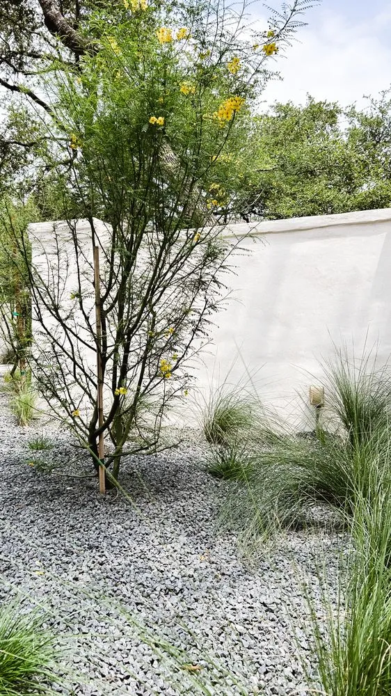 Local residential landscaping in Austin, TX by Under the Oak Canopy