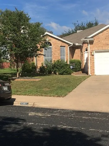 Trusted residential landscaping in Austin, TX - Under the Oak Canopy