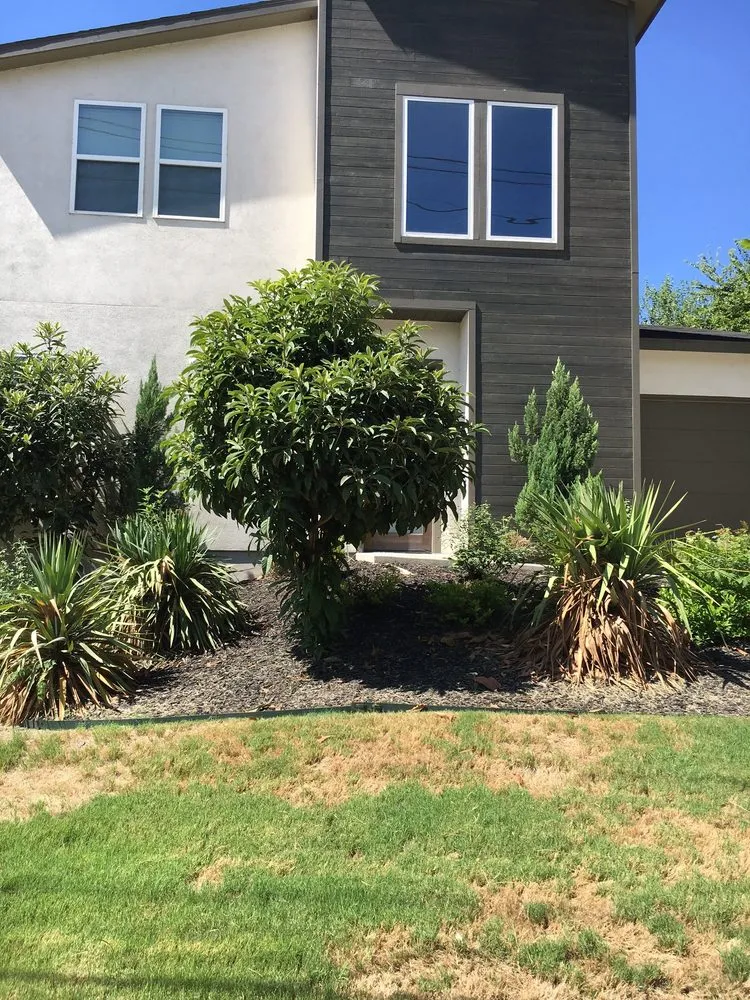 Local garden landscaping for homes across Austin, TX - Under the Oak Canopy