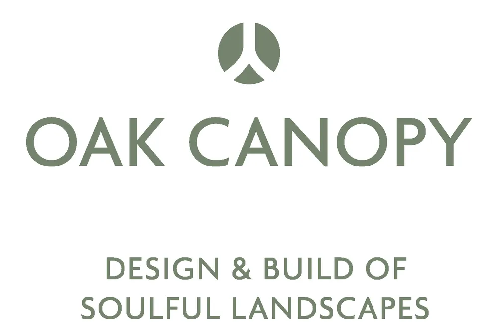 Trusted landscaping services with custom design in Austin, TX by Under the Oak Canopy