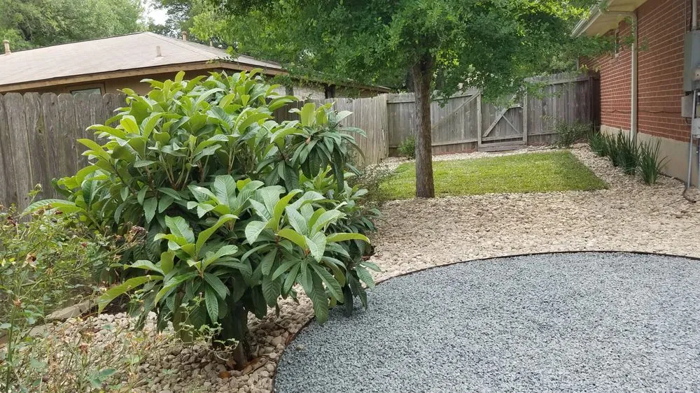 Trusted yard cleanup service for homes in Austin, TX by Under the Oak Canopy