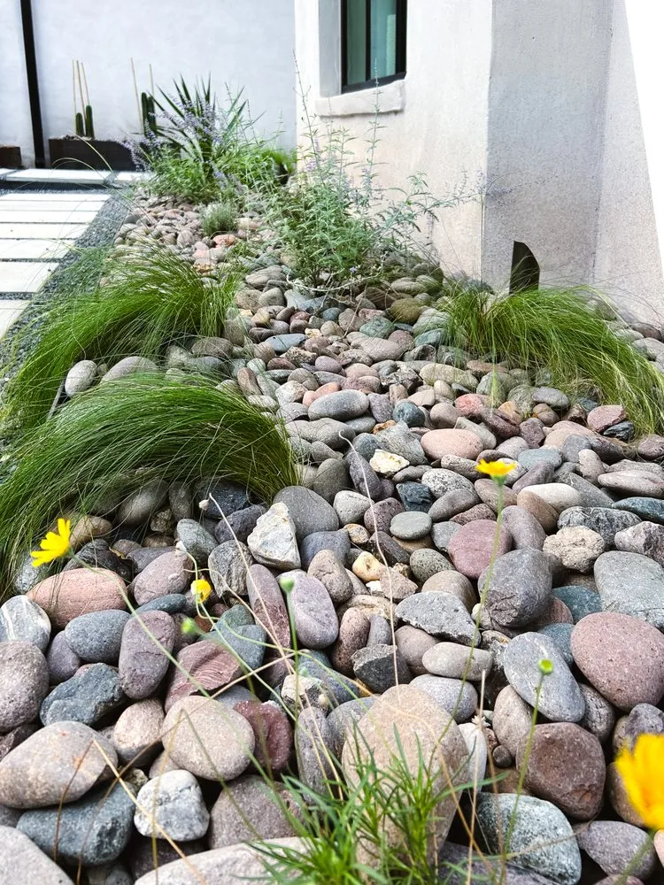 Local yard cleanup service for homes in Austin, TX by Under the Oak Canopy