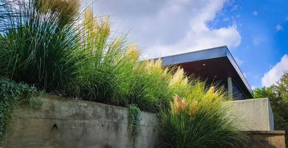 Custom yard maintenance experts serving Austin, TX - Under the Oak Canopy