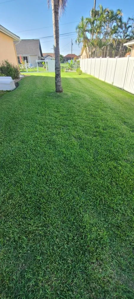 Local lawn mowing service experts serving La Belle, FL - Under The Oaks Lawn Service