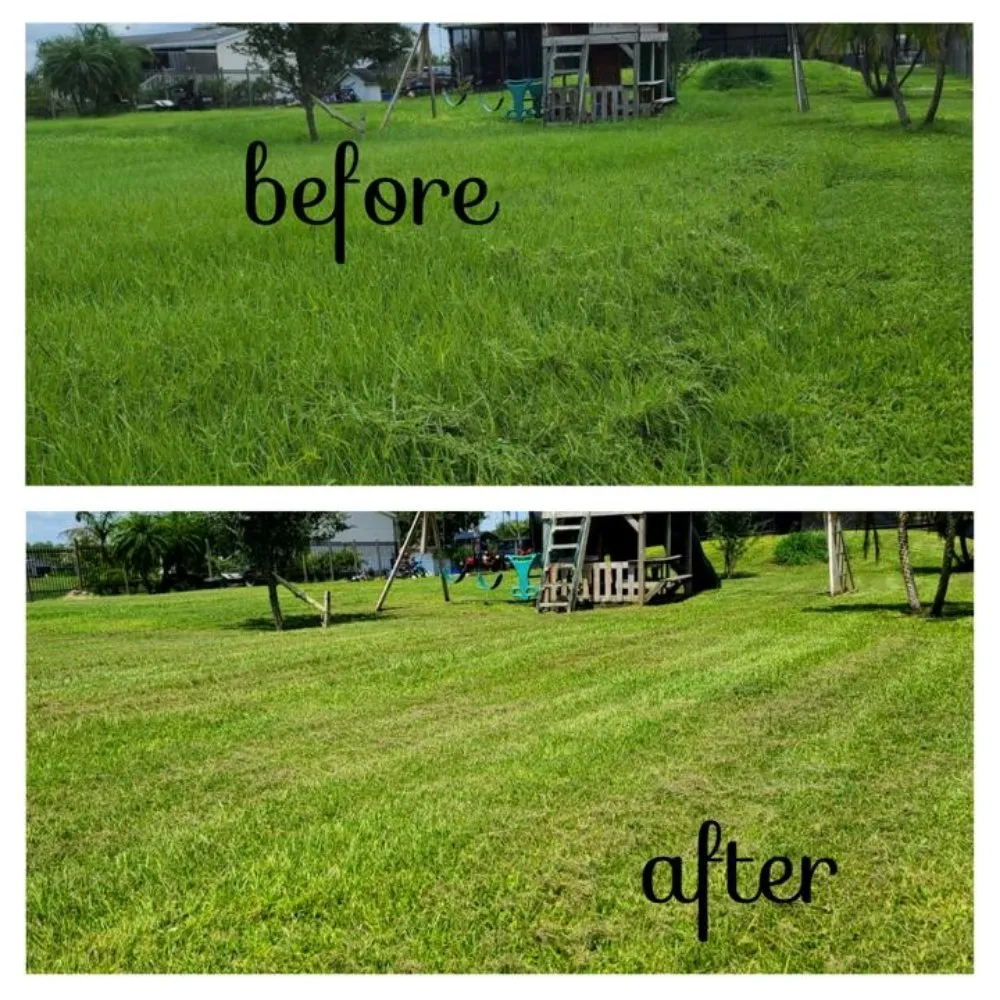 Expert landscaping services near you in La Belle, FL by Under The Oaks Lawn Service