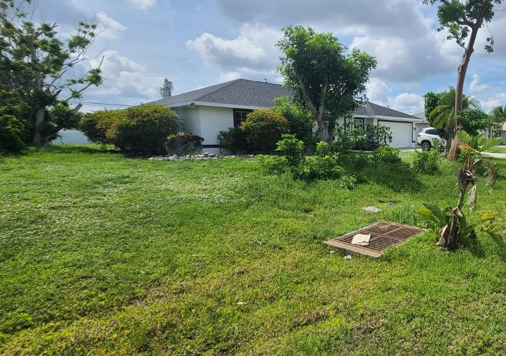 Trusted landscape installation experts serving La Belle, FL - Under The Oaks Lawn Service