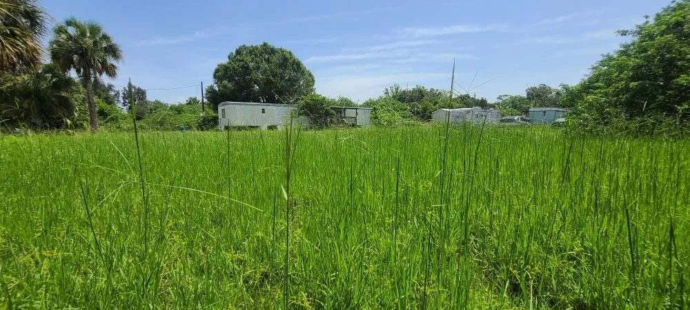 Trusted lawn mowing service in La Belle, FL - Under The Oaks Lawn Service