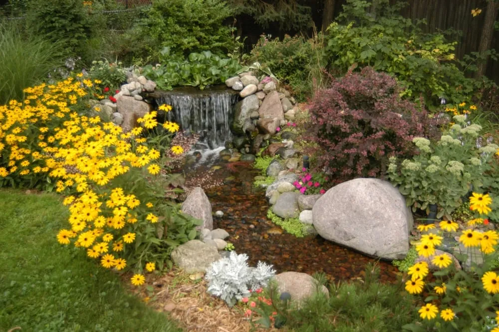 Trusted yard cleanup service in Santa Clarita, CA by Under The Sea