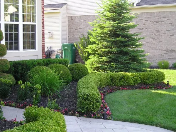 Affordable yard maintenance in Barnegat, NJ by Under the Sun Landscaping