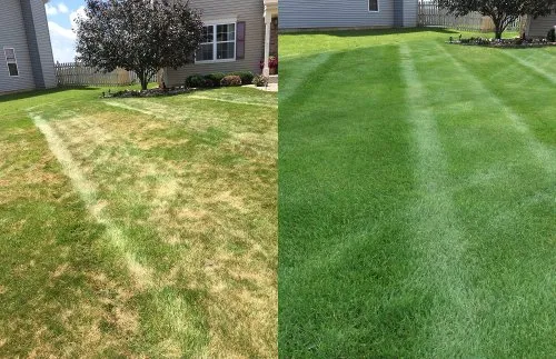 Top-rated yard maintenance in Barnegat, NJ - Under the Sun Landscaping