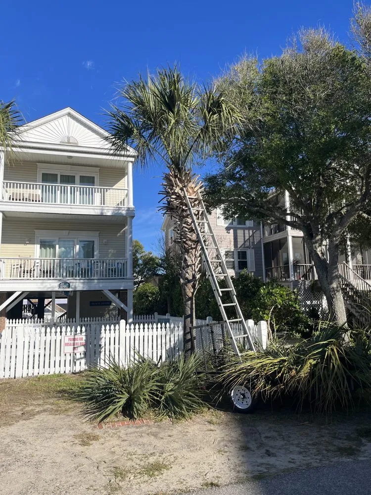 Affordable lawn mowing service experts serving Conway, SC - Under The Sun Landscaping