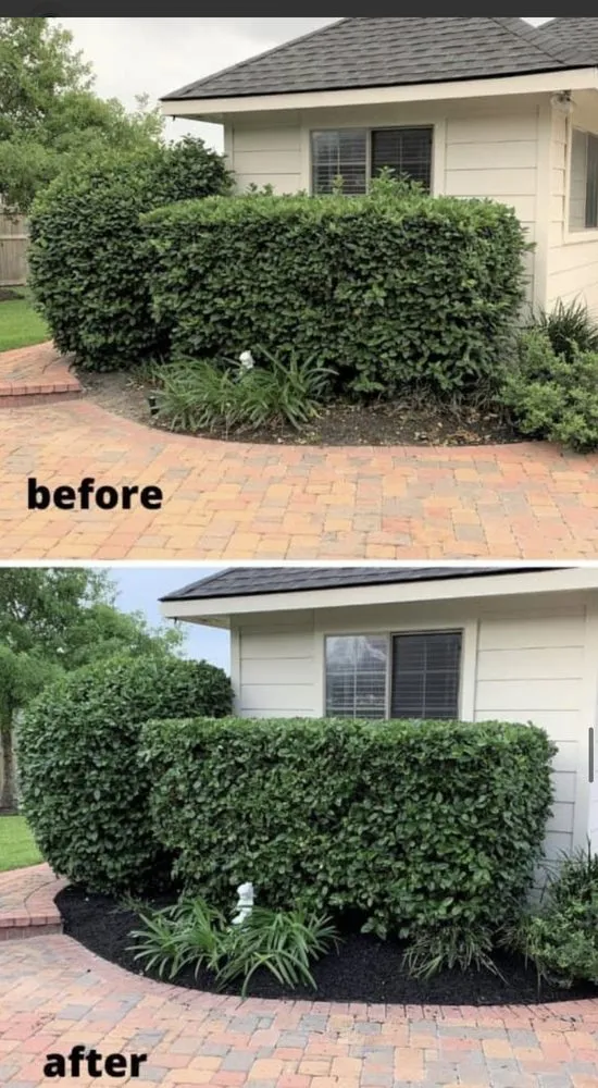 Custom landscaping services experts serving Conway, SC - Under The Sun Landscaping