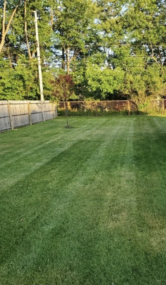 Professional landscape design experts serving Conway, SC - Under The Sun Landscaping